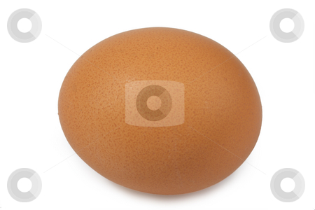 To use this stock image in your creative project, please select the size you need over to the right and click the "Add to Cart" button.
Your downloaded image will come with the Cutcaster watermark removed so don’t worry about the watermark you see on this page. Brown egg stock photo, One brown egg with feather on bright background by Birgit Reitz-Hofmann