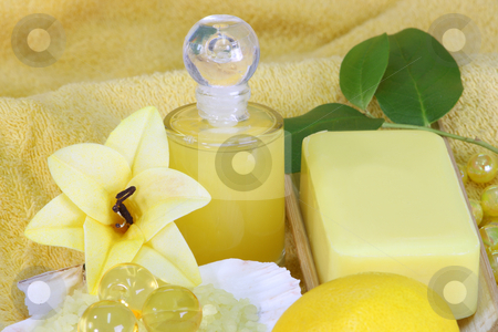 To use this stock image in your creative project, please select the size you need over to the right and click the "Add to Cart" button.
Your downloaded image will come with the Cutcaster watermark removed so don’t worry about the watermark you see on this page. Bodycare stock photo, Sea bath salt and yellow accessories - body care by Birgit Reitz-Hofmann