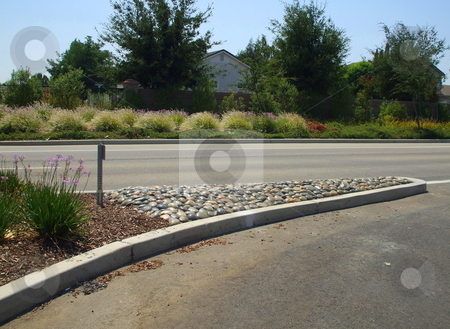 To use this stock image in your creative project, please select the size you need over to the right and click the "Add to Cart" button.
Your downloaded image will come with the Cutcaster watermark removed so don’t worry about the watermark you see on this page. Roadside Planting stock photo, by Michael Felix