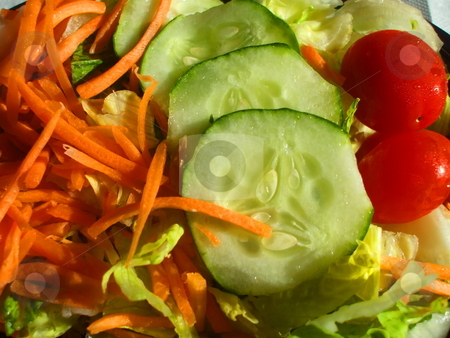 To use this stock image in your creative project, please select the size you need over to the right and click the "Add to Cart" button.
Your downloaded image will come with the Cutcaster watermark removed so don’t worry about the watermark you see on this page. Fresh Vegetable Salad stock photo, by Michael Felix