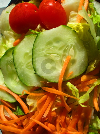 To use this stock image in your creative project, please select the size you need over to the right and click the "Add to Cart" button.
Your downloaded image will come with the Cutcaster watermark removed so don’t worry about the watermark you see on this page. Fresh Vegetable Salad stock photo, by Michael Felix