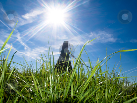 To use this stock image in your creative project, please select the size you need over to the right and click the "Add to Cart" button.
Your downloaded image will come with the Cutcaster watermark removed so don’t worry about the watermark you see on this page. Beautiful fresh grass at spring stock photo, Beautiful fresh grass against sun at spring with blue sky and harvest machinery by Laurent Dambies