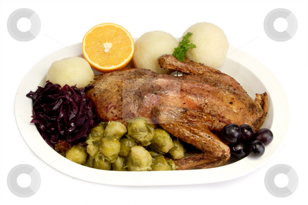To use this stock image in your creative project, please select the size you need over to the right and click the "Add to Cart" button.
Your downloaded image will come with the Cutcaster watermark removed so don’t worry about the watermark you see on this page. Duck dinner_2 stock photo, Roasted duck dinner on bright background by Birgit Reitz-Hofmann