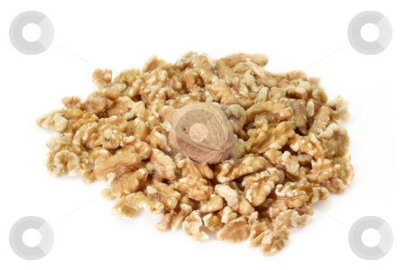 To use this stock image in your creative project, please select the size you need over to the right and click the "Add to Cart" button.
Your downloaded image will come with the Cutcaster watermark removed so don’t worry about the watermark you see on this page. Walnuts stock photo, Fresh Walnuts on bright background by Birgit Reitz-Hofmann