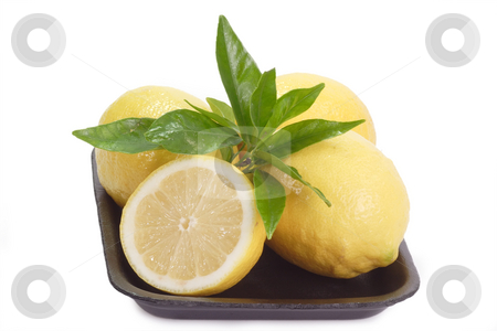 To use this stock image in your creative project, please select the size you need over to the right and click the "Add to Cart" button.
Your downloaded image will come with the Cutcaster watermark removed so don’t worry about the watermark you see on this page. Lemons stock photo, Fresh lemons on white background by Birgit Reitz-Hofmann