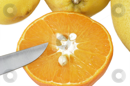 To use this stock image in your creative project, please select the size you need over to the right and click the "Add to Cart" button.
Your downloaded image will come with the Cutcaster watermark removed so don’t worry about the watermark you see on this page. Sliced orange stock photo, Fresh orange sliced isolated on white background by Birgit Reitz-Hofmann