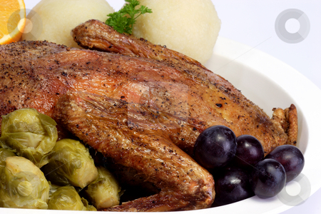 To use this stock image in your creative project, please select the size you need over to the right and click the "Add to Cart" button.
Your downloaded image will come with the Cutcaster watermark removed so don’t worry about the watermark you see on this page. Duck dinner_1 stock photo, Roasted duck dinner on bright background by Birgit Reitz-Hofmann