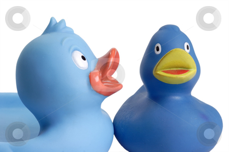 To use this stock image in your creative project, please select the size you need over to the right and click the "Add to Cart" button.
Your downloaded image will come with the Cutcaster watermark removed so don’t worry about the watermark you see on this page. Bath toy stock photo, Blue rubber ducks bath toy on white background by Birgit Reitz-Hofmann