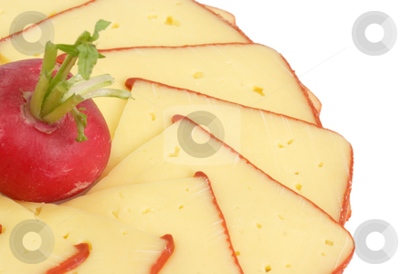 To use this stock image in your creative project, please select the size you need over to the right and click the "Add to Cart" button.
Your downloaded image will come with the Cutcaster watermark removed so don’t worry about the watermark you see on this page. Cheese slices stock photo, Cheese slices with radish on bright background by Birgit Reitz-Hofmann