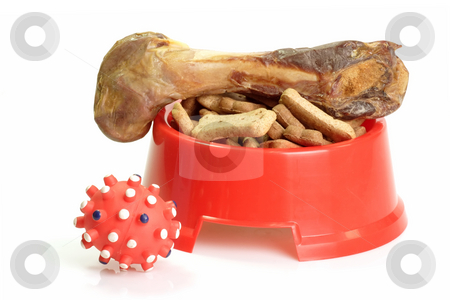 To use this stock image in your creative project, please select the size you need over to the right and click the "Add to Cart" button.
Your downloaded image will come with the Cutcaster watermark removed so don’t worry about the watermark you see on this page. Dog fun stock photo, Red bowl with dog food and dog toy by Birgit Reitz-Hofmann