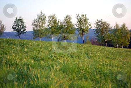 To use this stock image in your creative project, please select the size you need over to the right and click the "Add to Cart" button.
Your downloaded image will come with the Cutcaster watermark removed so don’t worry about the watermark you see on this page. Landscape stock photo, by Sarka