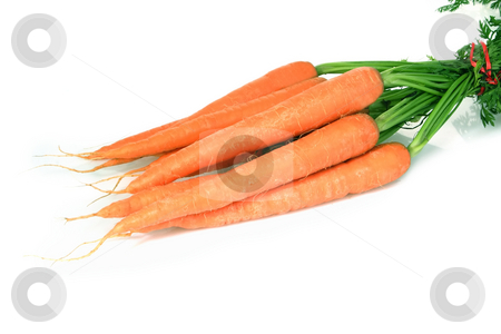 To use this stock image in your creative project, please select the size you need over to the right and click the "Add to Cart" button.
Your downloaded image will come with the Cutcaster watermark removed so don’t worry about the watermark you see on this page. Carrots stock photo, Fresh carrots on bright background by Birgit Reitz-Hofmann