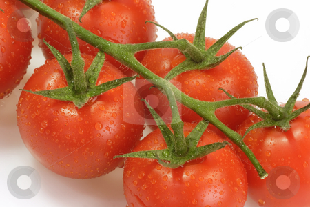 To use this stock image in your creative project, please select the size you need over to the right and click the "Add to Cart" button.
Your downloaded image will come with the Cutcaster watermark removed so don’t worry about the watermark you see on this page. Tomatoes stock photo, Fresh tomatoes on bright background by Birgit Reitz-Hofmann