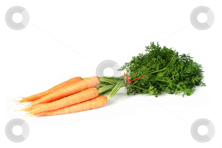 To use this stock image in your creative project, please select the size you need over to the right and click the "Add to Cart" button.
Your downloaded image will come with the Cutcaster watermark removed so don’t worry about the watermark you see on this page. Fresh carrots stock photo, Fresh carrots on bright background by Birgit Reitz-Hofmann