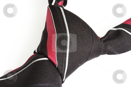 To use this stock image in your creative project, please select the size you need over to the right and click the "Add to Cart" button.
Your downloaded image will come with the Cutcaster watermark removed so don’t worry about the watermark you see on this page. Mens accessory stock photo, Necktie accessory on bright background by Birgit Reitz-Hofmann
