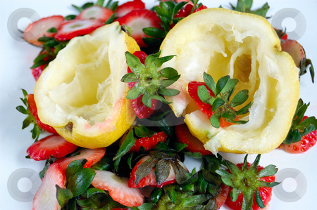 To use this stock image in your creative project, please select the size you need over to the right and click the "Add to Cart" button.
Your downloaded image will come with the Cutcaster watermark removed so don’t worry about the watermark you see on this page. Fruits scraps closeup stock photo, Closeup of fruits (lemons and strawberries) scraps on a table. by ALESSANDRO TERMIGNONE