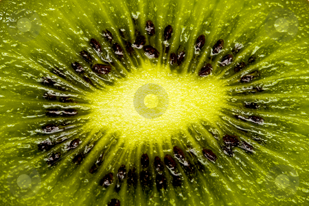 To use this stock image in your creative project, please select the size you need over to the right and click the "Add to Cart" button.
Your downloaded image will come with the Cutcaster watermark removed so don’t worry about the watermark you see on this page. Kiwi close-up stock photo, Close up/macro shot of kiwi by Damir Franusic