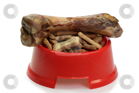 To use this stock image in your creative project, please select the size you need over to the right and click the "Add to Cart" button.
Your downloaded image will come with the Cutcaster watermark removed so don’t worry about the watermark you see on this page. Bowl with dog food stock photo, Red bowl with dog food and dog toy on bright background by Birgit Reitz-Hofmann