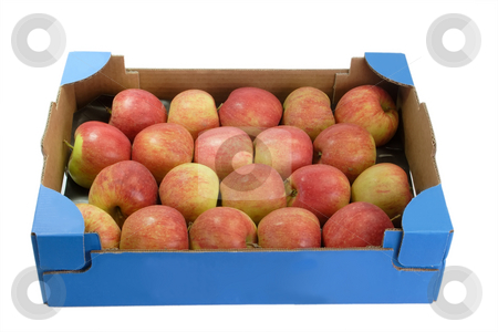 To use this stock image in your creative project, please select the size you need over to the right and click the "Add to Cart" button.
Your downloaded image will come with the Cutcaster watermark removed so don’t worry about the watermark you see on this page. Fresh apples_2 stock photo, Apples in a cardboard box isolated on white background by Birgit Reitz-Hofmann