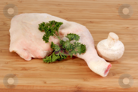 To use this stock image in your creative project, please select the size you need over to the right and click the "Add to Cart" button.
Your downloaded image will come with the Cutcaster watermark removed so don’t worry about the watermark you see on this page. Chicken leg_13 stock photo, Raw chicken leg on brown background by Birgit Reitz-Hofmann