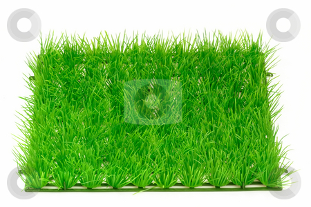 To use this stock image in your creative project, please select the size you need over to the right and click the "Add to Cart" button.
Your downloaded image will come with the Cutcaster watermark removed so don’t worry about the watermark you see on this page. Grass meadow_1 stock photo, Decorative grass meadow on bright background by Birgit Reitz-Hofmann