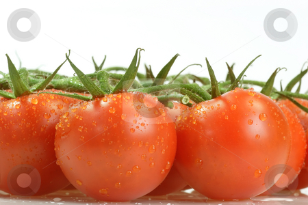 To use this stock image in your creative project, please select the size you need over to the right and click the "Add to Cart" button.
Your downloaded image will come with the Cutcaster watermark removed so don’t worry about the watermark you see on this page. Tomatoes stock photo, Fresh tomatoes on bright background by Birgit Reitz-Hofmann
