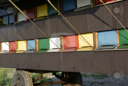 To use this stock image in your creative project, please select the size you need over to the right and click the "Add to Cart" button.
Your downloaded image will come with the Cutcaster watermark removed so don’t worry about the watermark you see on this page. Apiary stock photo, Colourful apiary wagon standing in rape field by Jolanta Dabrowska