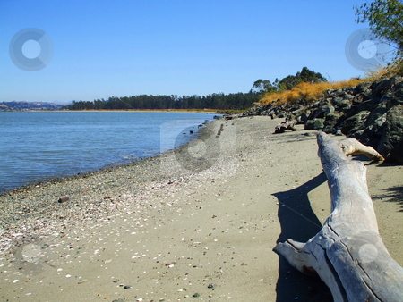 To use this stock image in your creative project, please select the size you need over to the right and click the "Add to Cart" button.
Your downloaded image will come with the Cutcaster watermark removed so don’t worry about the watermark you see on this page. Seascape stock photo, by Michael Felix