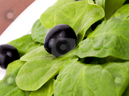 To use this stock image in your creative project, please select the size you need over to the right and click the "Add to Cart" button.
Your downloaded image will come with the Cutcaster watermark removed so don’t worry about the watermark you see on this page. Spinach Salad stock photo, Spinach salad with black olives on a plate by John Teeter