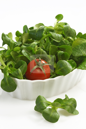 To use this stock image in your creative project, please select the size you need over to the right and click the "Add to Cart" button.
Your downloaded image will come with the Cutcaster watermark removed so don’t worry about the watermark you see on this page. Corn salad stock photo, Field salad in a bowl on white background by Birgit Reitz-Hofmann