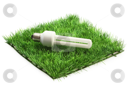 To use this stock image in your creative project, please select the size you need over to the right and click the "Add to Cart" button.
Your downloaded image will come with the Cutcaster watermark removed so don’t worry about the watermark you see on this page. Energy saving lamp stock photo, Energy saving lamp on a grass meadow on bright background by Birgit Reitz-Hofmann