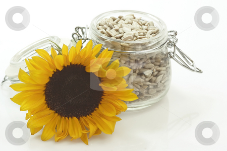To use this stock image in your creative project, please select the size you need over to the right and click the "Add to Cart" button.
Your downloaded image will come with the Cutcaster watermark removed so don’t worry about the watermark you see on this page. Sunflower seeds stock photo, Sunflower seeds on a bright background by Birgit Reitz-Hofmann
