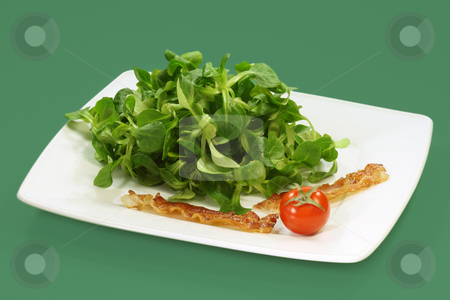 To use this stock image in your creative project, please select the size you need over to the right and click the "Add to Cart" button.
Your downloaded image will come with the Cutcaster watermark removed so don’t worry about the watermark you see on this page. Field salad stock photo, Field salad on a plate on green background by Birgit Reitz-Hofmann
