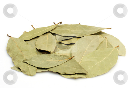To use this stock image in your creative project, please select the size you need over to the right and click the "Add to Cart" button.
Your downloaded image will come with the Cutcaster watermark removed so don’t worry about the watermark you see on this page. Bay leaves stock photo, Pile of bay leaves on brihgt background by Birgit Reitz-Hofmann
