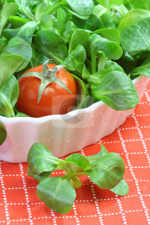 To use this stock image in your creative project, please select the size you need over to the right and click the "Add to Cart" button.
Your downloaded image will come with the Cutcaster watermark removed so don’t worry about the watermark you see on this page. Corn salad stock photo, Fresh corn salad in a bowll on red background by Birgit Reitz-Hofmann