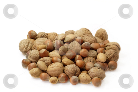 To use this stock image in your creative project, please select the size you need over to the right and click the "Add to Cart" button.
Your downloaded image will come with the Cutcaster watermark removed so don’t worry about the watermark you see on this page. Nuts stock photo, Assortment of nuts on bright background by Birgit Reitz-Hofmann