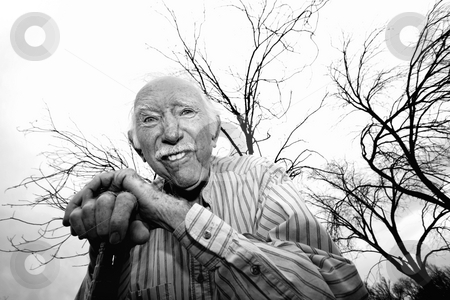 To use this stock image in your creative project, please select the size you need over to the right and click the "Add to Cart" button.
Your downloaded image will come with the Cutcaster watermark removed so don’t worry about the watermark you see on this page. Old man in front of bare trees stock photo, Crazy old man leaning on cane in front of trees by Scott Griessel