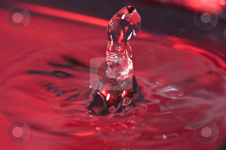 To use this stock image in your creative project, please select the size you need over to the right and click the "Add to Cart" button.
Your downloaded image will come with the Cutcaster watermark removed so don’t worry about the watermark you see on this page. Water drops stock photo, Water drops forming interesting unique sculptures. by Nicolaas Traut