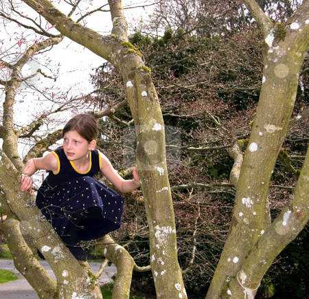 To use this stock image in your creative project, please select the size you need over to the right and click the "Add to Cart" button.
Your downloaded image will come with the Cutcaster watermark removed so don’t worry about the watermark you see on this page. Girl in Navy Dress in a Tree stock photo, Young girl is climbing a tree in a navy tree and has a worried and concerned expression on her face. by Valerie Garner