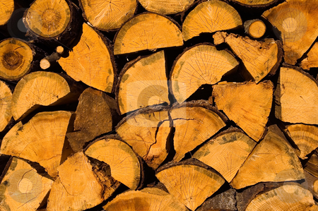 To use this stock image in your creative project, please select the size you need over to the right and click the "Add to Cart" button.
Your downloaded image will come with the Cutcaster watermark removed so don’t worry about the watermark you see on this page. Wood stock photo, Close up on wood in Bulgarian village by Kobby Dagan