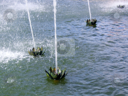 To use this stock image in your creative project, please select the size you need over to the right and click the "Add to Cart" button.
Your downloaded image will come with the Cutcaster watermark removed so don’t worry about the watermark you see on this page. Water lily fountain stock photo, Water lily fountain at Versailles palace by Jaime Pharr