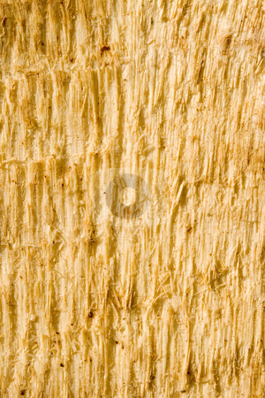 To use this stock image in your creative project, please select the size you need over to the right and click the "Add to Cart" button.
Your downloaded image will come with the Cutcaster watermark removed so don’t worry about the watermark you see on this page. Wood Texture stock photo, A close-up of the texture of a wooden plank by Petr Koudelka
