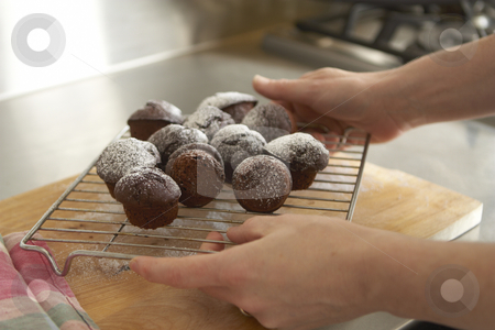 To use this stock image in your creative project, please select the size you need over to the right and click the "Add to Cart" button.
Your downloaded image will come with the Cutcaster watermark removed so don’t worry about the watermark you see on this page. Freshly baked chocolate cupcakes held by female hands stock photo, Chocloate cupcakes, freshly baked on a cooling rack held by female hands by Gary Cookson