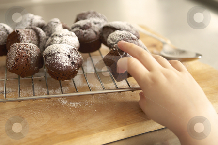 To use this stock image in your creative project, please select the size you need over to the right and click the "Add to Cart" button.
Your downloaded image will come with the Cutcaster watermark removed so don’t worry about the watermark you see on this page. The cupcake thief stock photo, A child's hand takes a fresh cupcake from the cooling rack. Shallow focus, motion blur on fingers. by Gary Cookson