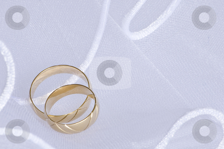To use this stock image in your creative project, please select the size you need over to the right and click the "Add to Cart" button.
Your downloaded image will come with the Cutcaster watermark removed so don’t worry about the watermark you see on this page. Wedding rings over veil stock photo, Wedding golden rings over bridal veil by Desislava Dimitrova