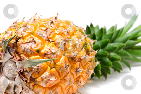 To use this stock image in your creative project, please select the size you need over to the right and click the "Add to Cart" button.
Your downloaded image will come with the Cutcaster watermark removed so don’t worry about the watermark you see on this page. Pineapple stock photo, Ripe vivid pineapple close up over white background by Francesco Perre
