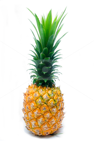 To use this stock image in your creative project, please select the size you need over to the right and click the "Add to Cart" button.
Your downloaded image will come with the Cutcaster watermark removed so don’t worry about the watermark you see on this page. Pineapple stock photo, Ripe vivid pineapple isolated over white background by Francesco Perre