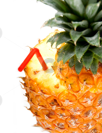 To use this stock image in your creative project, please select the size you need over to the right and click the "Add to Cart" button.
Your downloaded image will come with the Cutcaster watermark removed so don’t worry about the watermark you see on this page. Pineapple drink stock photo, Ripe vivid pineapple with red straw over white background by Francesco Perre