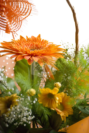 To use this stock image in your creative project, please select the size you need over to the right and click the "Add to Cart" button.
Your downloaded image will come with the Cutcaster watermark removed so don’t worry about the watermark you see on this page. Gerbera stock photo, Orange gerbera bouquet in basket over white by Desislava Dimitrova