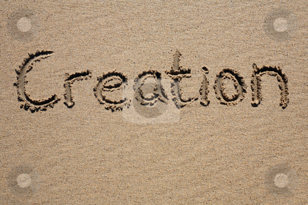 To use this stock image in your creative project, please select the size you need over to the right and click the "Add to Cart" button.
Your downloaded image will come with the Cutcaster watermark removed so don’t worry about the watermark you see on this page. Creation, written on a sandy beach. stock photo, Creation, written on a sandy beach. by Stephen Rees